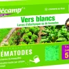 Nématodes contre vers blancs 50 m2