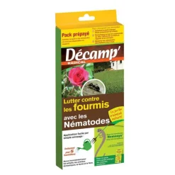 Nématodes traitement biologique contre les fourmis