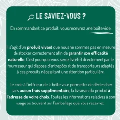 Nématodes traitement biologique contre les fourmis