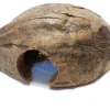 Noix de coco pour terrarium coloris marron Reptile Planet Coco Casa