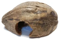 Noix de coco pour terrarium coloris marron Reptile Planet Coco Casa