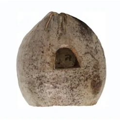 Noix de coco pour terrarium coloris marron Reptile Planet Coco Home