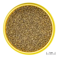 Nourriture pour gourami, granulés ProNovo, JBL - 115g, 250ml