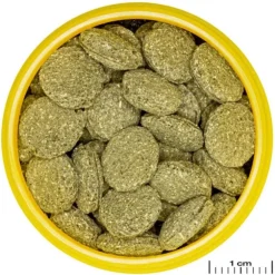 Nourriture pour poissons, galettes ProNovo pleco medium, JBL - 2,9 kg, 5,5 litres