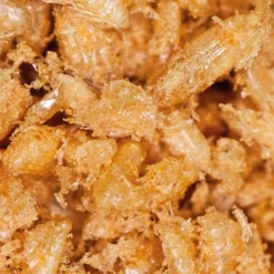 Nourriture pour poissons calanus 2-3mm DUPLA EEZE - contenance 180ml / 20g