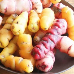 Occa Du Perou Bio. Le pot de 1 litre