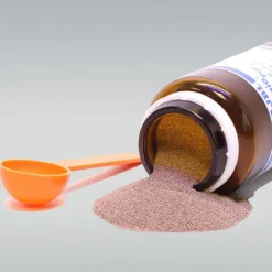 Oeufs d'artémias pure JBL ArtemioPur - contenance 40ml