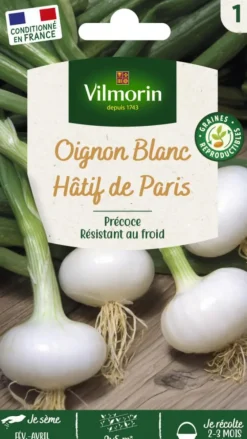 Oignon blanc Hâtif de Paris Vilmorin - graines à semer