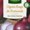 Oignon rouge de Brunswick Vilmorin - graines à semer