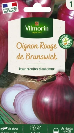 Oignon rouge de Brunswick Vilmorin - graines à semer