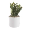 Opuntia mix en pot blanc émaillé Ø 20 cm