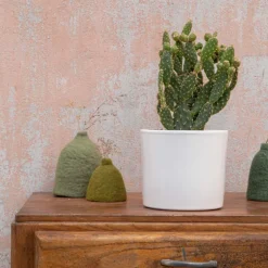 Opuntia mix en pot blanc émaillé Ø 20 cm