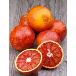 Orange sanguine Moro bio d'Italie - Prix au kg