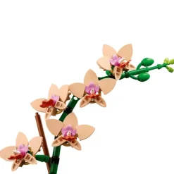 Orchidée miniature LEGO® Botanical Collection 18 ans et plus - 608 pièces