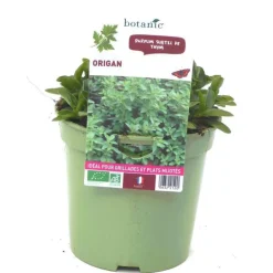 Origan Bio. Le pot de 1 litre
