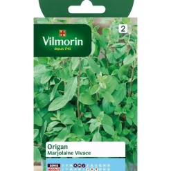 Origan Marjolaine Vivace Vilmorin - graines à semer