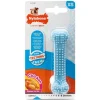 Os de dentition Nylabone pour chiot saveur poulet taille XS bleu