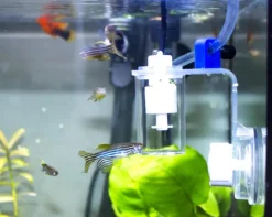 Osmolateur pour aquarium coloris transparent Aquavie Nano Micro Level Sensor v2