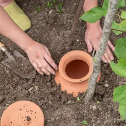 Oyas à enterrer Beige – Taille L