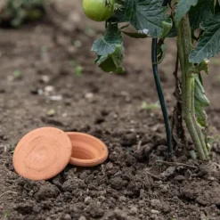 Oyas à enterrer Beige – Taille L