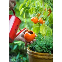 OYAS à planter émaillée rouge