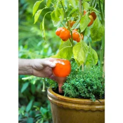 OYAS à planter émaillée rouge