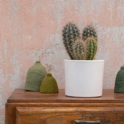 Pachycereus pringlei en pot blanc émaillé H 20 x Ø 20 cm