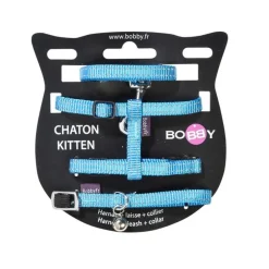 Pack chaton Safe bleu