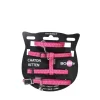 Pack chaton Safe rose