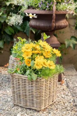 Panier carré en osier gris Marcia - 18 x 18 x 14 cm