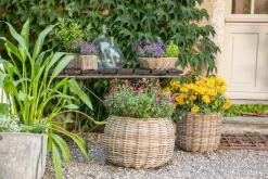 Panier rond en osier gris Marcia - Ø 26 x H 24 cm