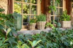 Panier rond en osier gris Marcia - Ø 35 x H 25 cm