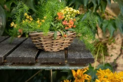 Panier rond en osier gris Marcia - Ø 30 x H 12 cm
