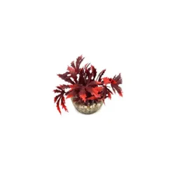 Papyrus rouge en plastique 8 cm