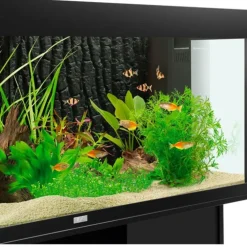 Paroi arrière d'aquarium effet pierre, JUWEL, modèle STR - 595x500 mm