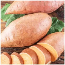 Patate Douce Bonita Bio. Le pot de 1 litre