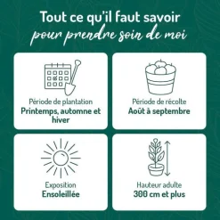 Pecher De Vigne. Le pot de 12 litres, forme gobelet