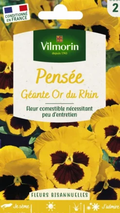 Pensée Géante Or du Rhin Vilmorin - graines à semer