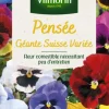 Pensée Géante Suisse Variée Vilmorin - graines à semer