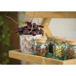 Peperomia rosso Ø 12 cm