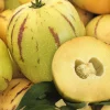 Pepino Poire Melon Bio. Le pot de 1 litre
