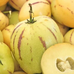 Pepino Poire Melon Bio. Le pot de 1 litre