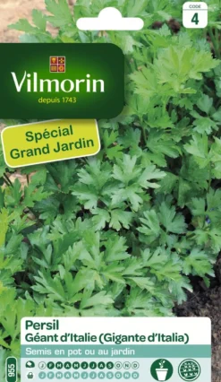 Persil Géant d'Italie Vilmorin - graines à semer