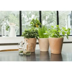 Petit cuvier rose Ø 15 cm