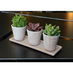 Petit cuvier rose Ø 21 cm