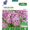 Phlox rose/blanc bio botanic® - 1 bulbe