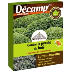 Phéromone pyrale du buis x 2