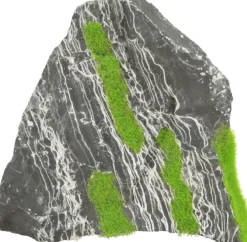 Pierre bicolore avec plante aquatique pour aquarium Zolux stone « ki pousse » M