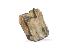 Pierre décorative pour aquarium coloris marron Aquavie bois fossilisé - Taille S