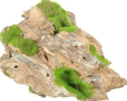 Pierre dorée avec plante aquatique pour aquarium Zolux yellow stone « ki pousse » M